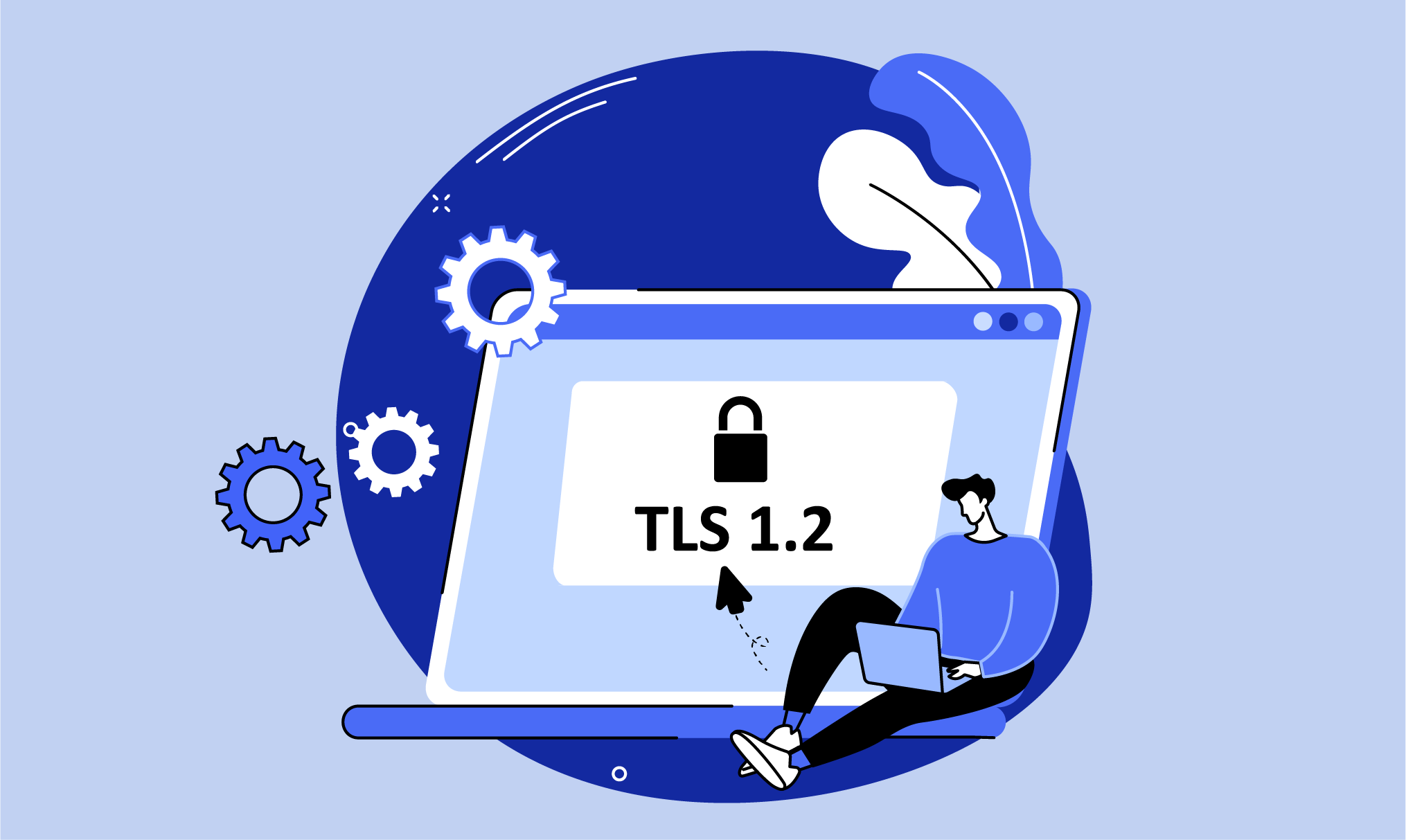 Browser TLS 1.2 Vulnerability Analysis preview